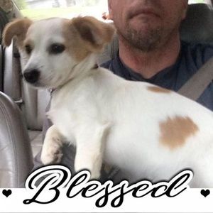 Meet your Posher, Wayne